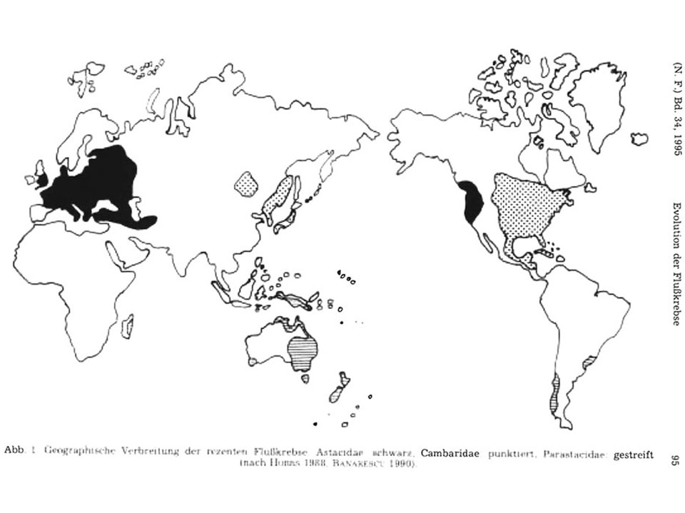 Map showing the distribution of Steinkrebs crayfish along the Neckar river, used in the Para Sites ecological research project